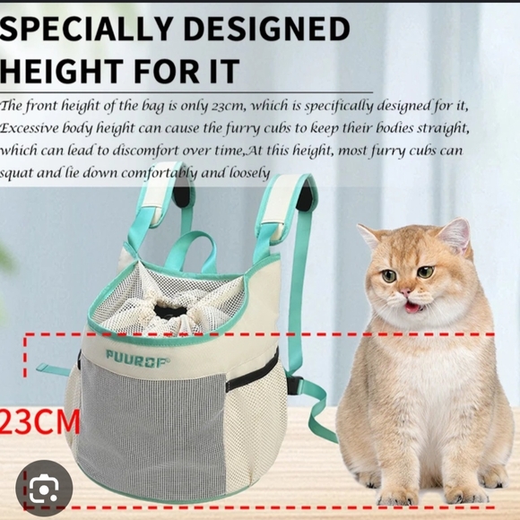 Mint Green Small Pet Carrier with Mesh - Picture 1 of 2